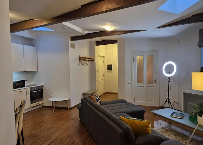 Icon Penthouse With Sauna Tallin